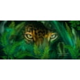 thumbnail image 1 of Cavalaris "Jungle Eyes - Jaguar" Wall Decal, 1 of 2