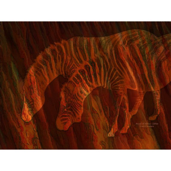Cavalaris "Moods Of Africa - Zebras" Glossy Poster