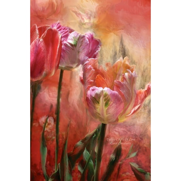 Cavalaris "Tulips-Colors Of Love" Glossy Poster