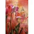 thumbnail image 1 of Cavalaris "Tulips-Colors Of Love" Wall Decal, 1 of 2