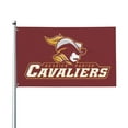 thumbnail image 1 of Cavalier Basketball Flag Home Garden Flag Banner Breeze Flags For Home Decor Outdoor 3x5 Ft, 1 of 8