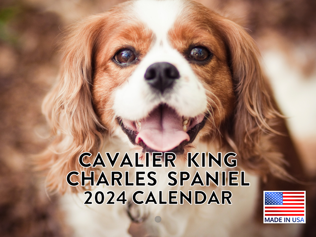 Cavalier King Charles Spaniel 2024 Wall Calendar Cavalier King Charles