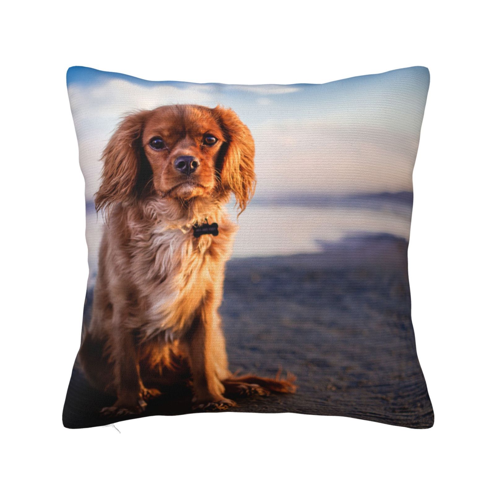 Cavalier King Charles Spaniel Coast Pets Dogs Pillow Cover Decorative Throw Pillowcase Soft