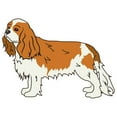 thumbnail image 1 of Cavalier King Charles Spaniel Decal | Indoor/Outdoor | Dog Lover Super Cute Sticker for SUV Windows, Dorm Rooms, Bedroom, Offices | SignMission personalized gift | 36", 1 of 2