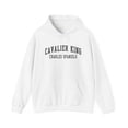 thumbnail image 1 of Cavalier King Charles Spaniel Dog Mom Mother's Day Hoodie Gifts Sweatshirt, 1 of 4