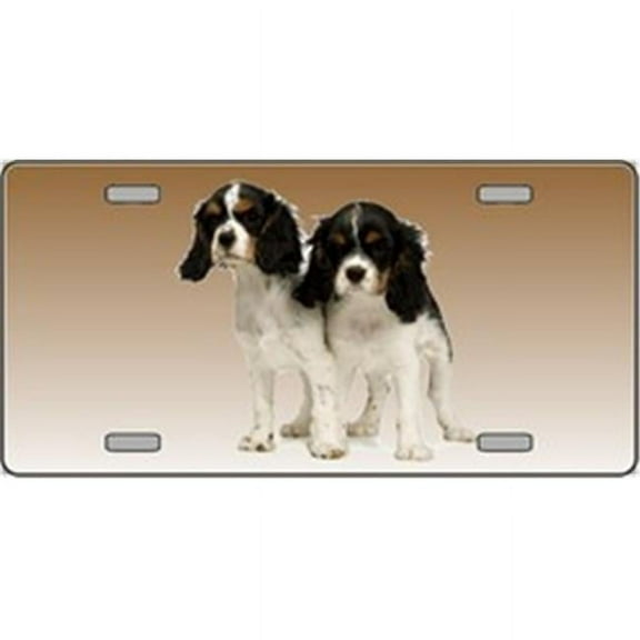 Cavalier King Charles Spaniel Dog Pet Novelty License Plates- Full Color Photography License Plates
