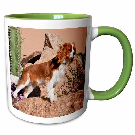 3drose, Cavalier King Charles Spaniel Dog - Us03 Zmu0008 - Zandria Muench Beraldo, 11oz Two-tone Green Mug