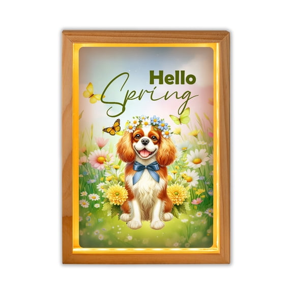 Cavalier King Charles Spaniel Hello Spring Time Flower Floral Nature Acrylic Plaque with Wood Photo Frame Box Dog Lover Gifts Light Box - 02031