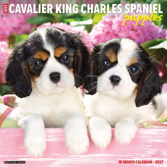 Cavalier King Charles Spaniel Puppies 2027 12 X 12 Wall Calendar, (Paperback)