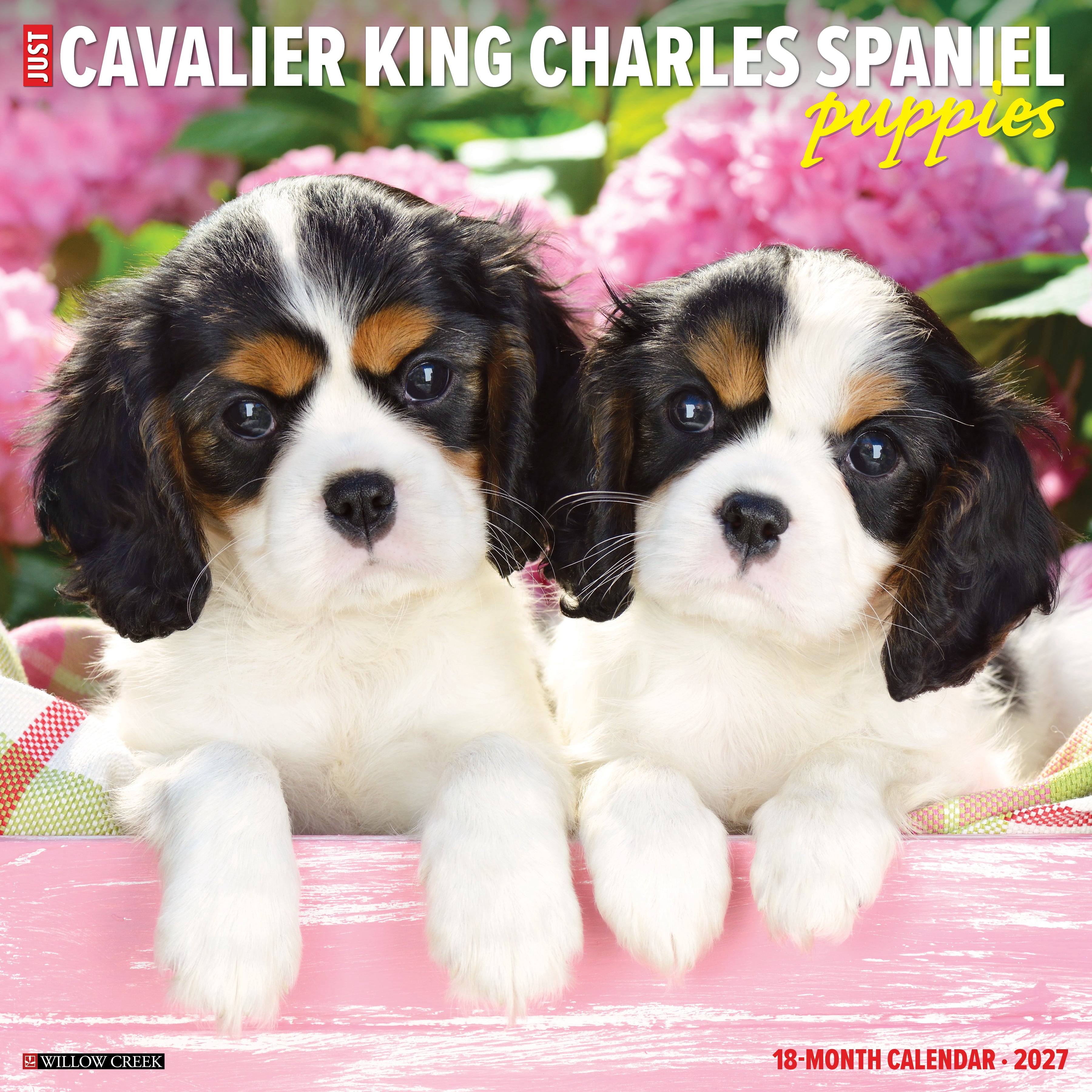 Willow Creek Press, Cavalier King Charles Spaniel Puppies 2027 Wall Calendar
