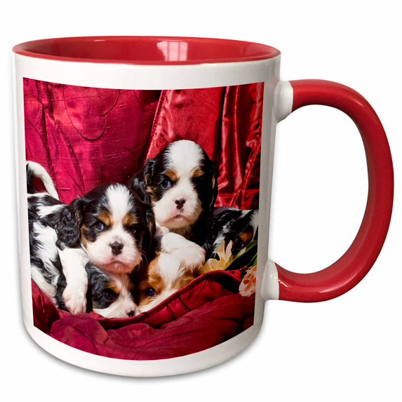 3drose, Cavalier King Charles Spaniel Puppy Dogs - Us05 Zmu0119 - Zandria Muench Beraldo, 15oz Two-tone Red Mug