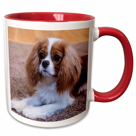 3drose, Cavalier King Charles Spaniel Puppy Reclining on the Carpet., 15oz Two-tone Red Mug