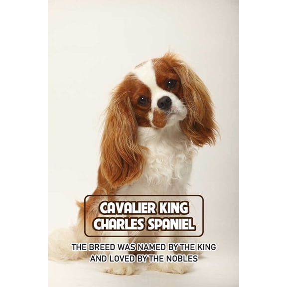 Cavalier King Charles Spaniel: The Breed Was Named by The King and Loved by The Nobles: How Well You Know about Cavalier King Charles Spaniel (Paperback)