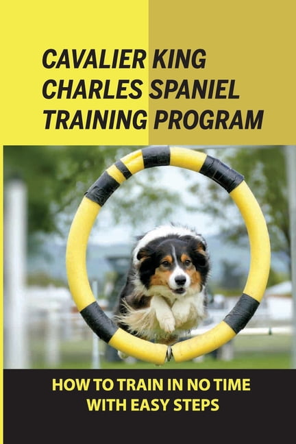 Image showcasing Cavalier King Charles Spaniel Training
