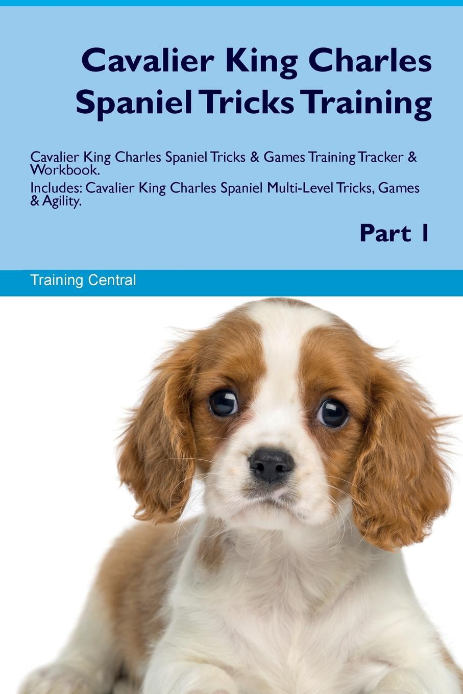 Cavalier King Charles Spaniel Tricks Training Cavalier King Charles