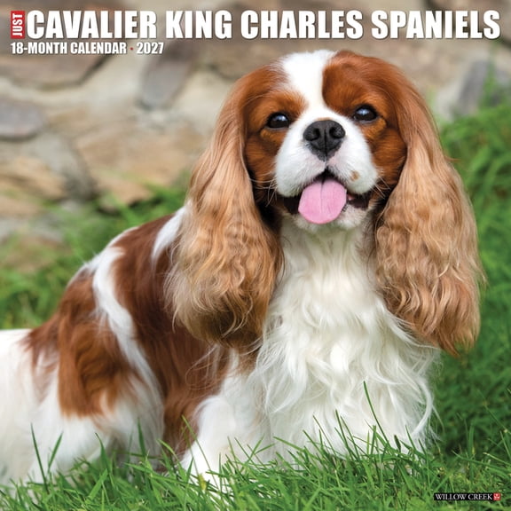 Cavalier King Charles Spaniels 2027 12 X 12 Wall Calendar, (Paperback)