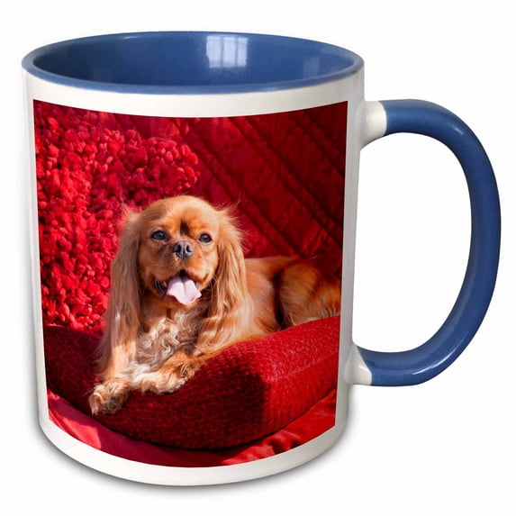 3drose, Cavalier Lying on Red Pillow, Mr, 11oz Two-tone Blue Mug