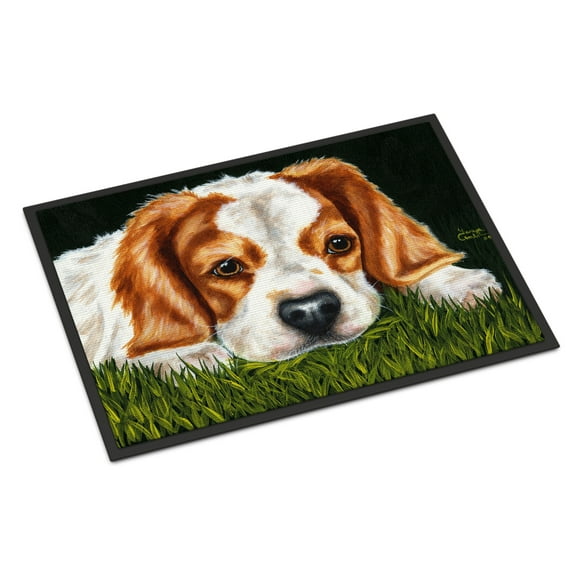 Cavalier Spaniel in the Grass Door Mat
