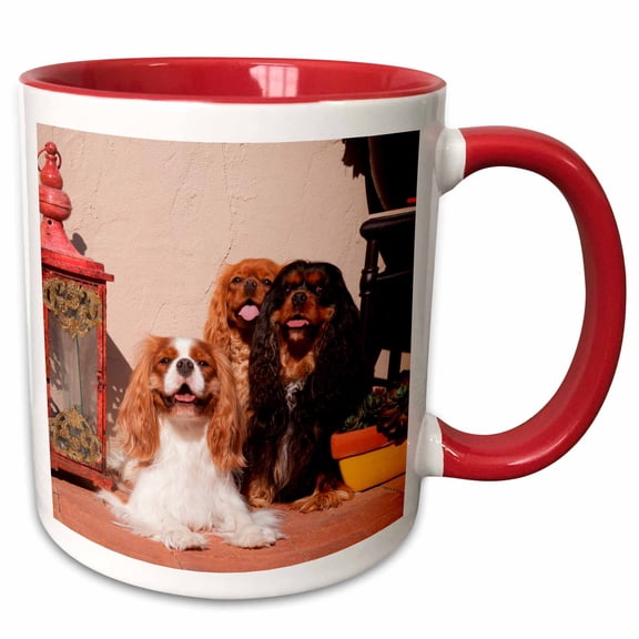 3drose, Cavaliers on Red Brick Patio, Mr, 15oz Two-tone Red Mug