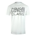 thumbnail image 1 of Cavalli Class Mens Zebra Print Logo T-Shirt, 1 of 4