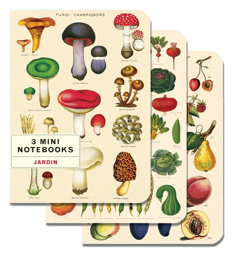 Cavallini & Co. Mini Notebooks Jardin Set of 3 - Walmart.com