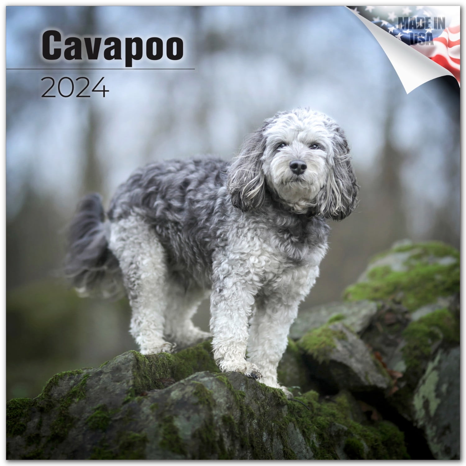 Cavapoo Dog Breed Premium Wall Calendar 2024