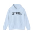 thumbnail image 1 of Cavapoo Dog Mom Mother's Day Hoodie Gifts Hooded Sweatshirt Pullover Shirt, 1 of 4