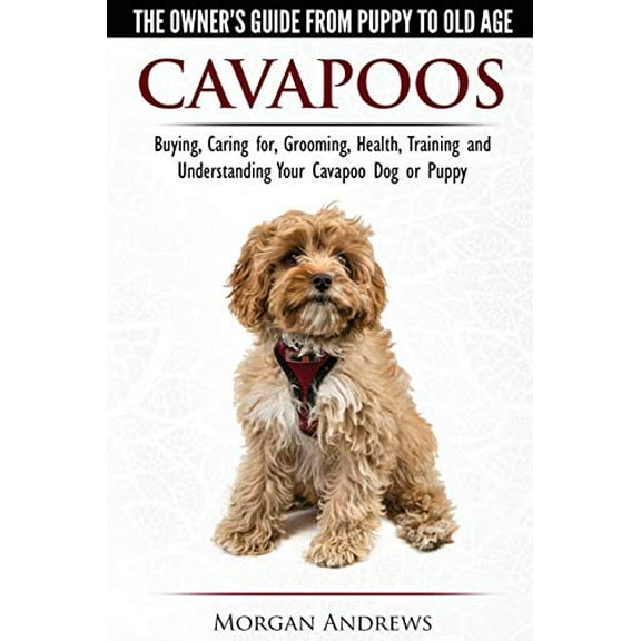 Pre-Owned Cavapoos - The Owner's Guide From Puppy To Old Age - Buying, Caring for, Grooming, Health, Training and Understanding Your Cavapoo Dog or Puppy (Paperback) 191067706X 9781910677063