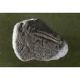 thumbnail image 1 of Cave Art Horse'S Head. Nred Sandstone Pebble With An Engraved Horse'S Head From Abri De La Madeleine Tursac Dordogne, 1 of 3