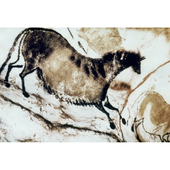 Cave Art Lascaux. Ngalloping Horse In Black And Brown At The Cave Of Lascaux France. Poster Print by