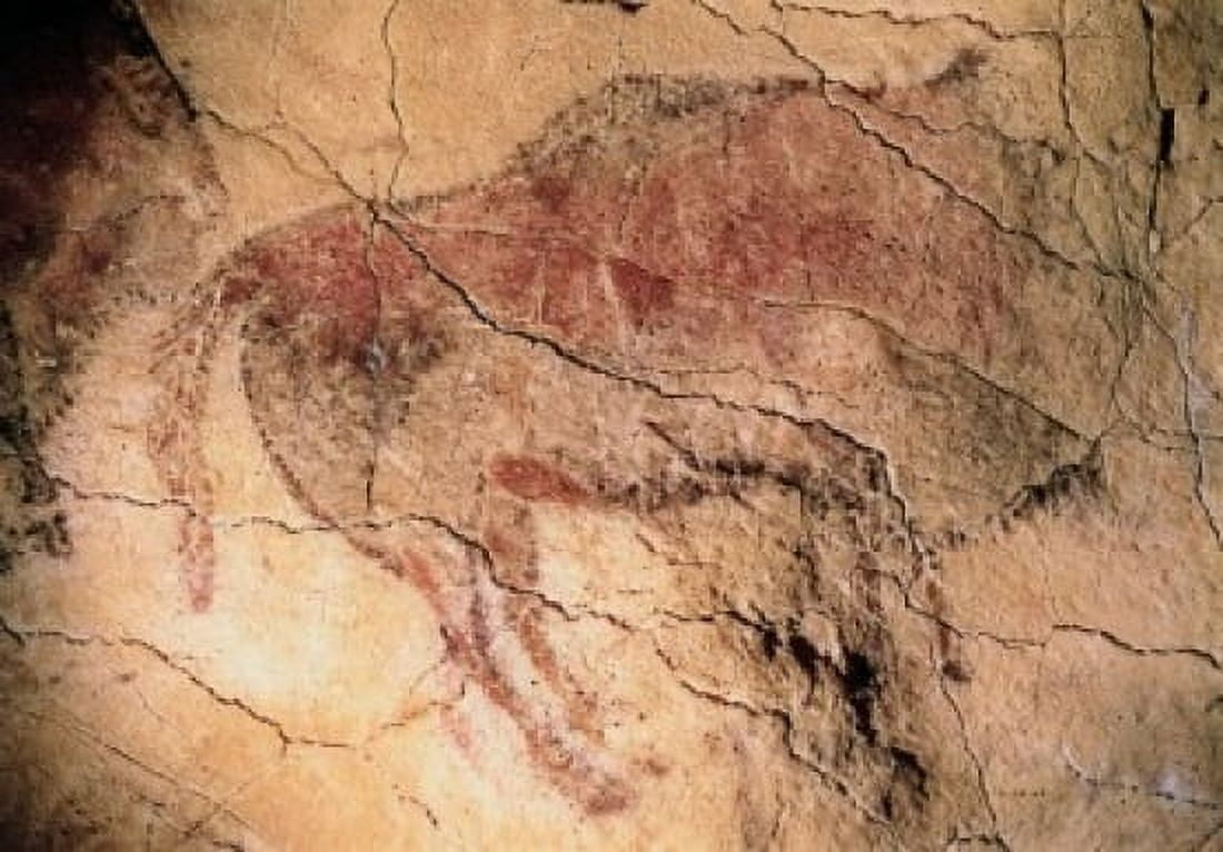 Cave Paintings-Animals Prehistoric Art Altamira Caves Santillana del Mar Spain Canvas Art - (18 x 24)
