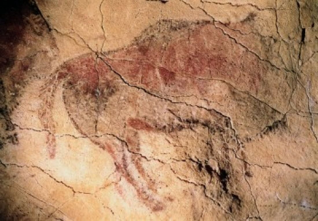 Cave Paintings-Animals Prehistoric Art Altamira Caves Santillana del Mar Spain Canvas Art - (24 x 36)