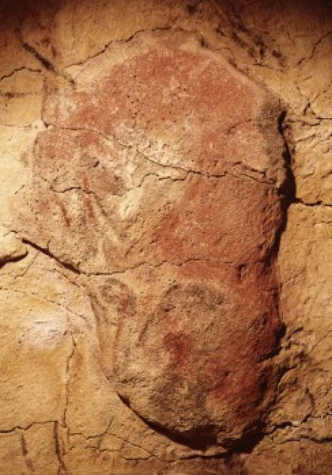 Cave Paintings Prehistoric Art Altamira Caves Santillana del Mar Spain Canvas Art -  (24 x 36)