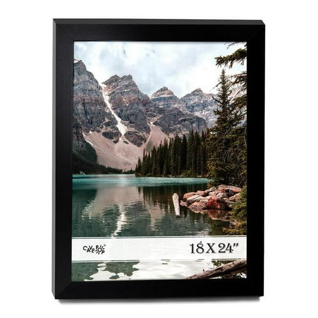 Cavepop 18x24" Black Wood Picture Poster Frame with Plexi-Glass