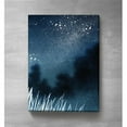 thumbnail image 1 of Cavepop CRS-TNSKY-1824 18 x 24 in. True Night Sky Canvas Art, 1 of 1