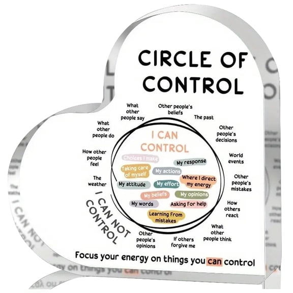 Cawbing Heart Gifts Mental Health Things I Can Control Decor Acrylic Office Art Decorationsrapist Room Bedroom Office Living