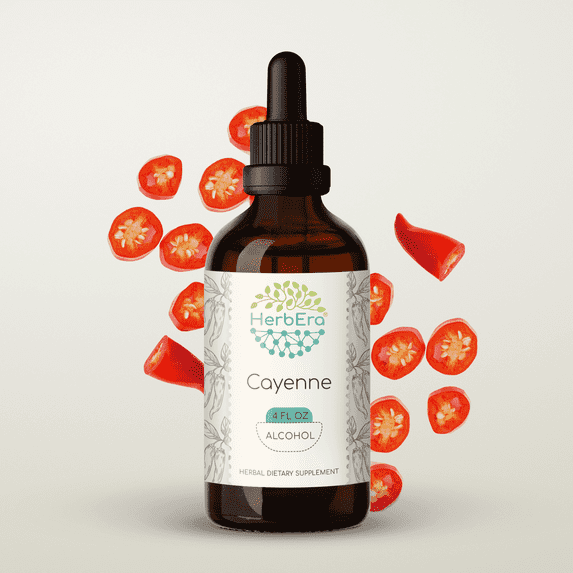 HerbEra Cayenne Tincture, Herbal Dietary Supplement for Digestive Support, Cayenne (Capsicum annuum) Dried Pepper Extract, Natural, Alcohol Tincture, Drops 4 oz