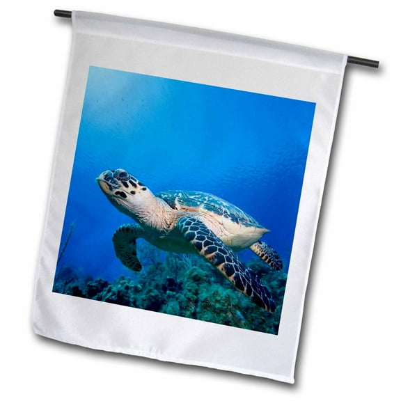 3dRose, Cayman Islands, Hawksbill Sea Turtle and coral reef -CA42 PSO0093 - Paul Souders, 18 x 27 inch Garden Flag