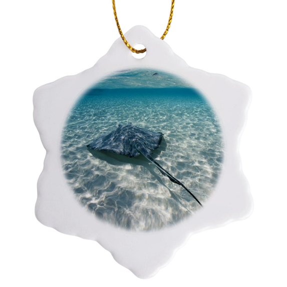 3drose, Cayman Islands, Southern Stingray in Caribbean Sea-ca42 Pso0046 - Paul Souders, 3 inch Snowflake Porcelain Ornament