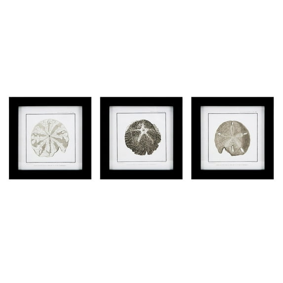 Cayman Shell Wall Decor - Ast 3