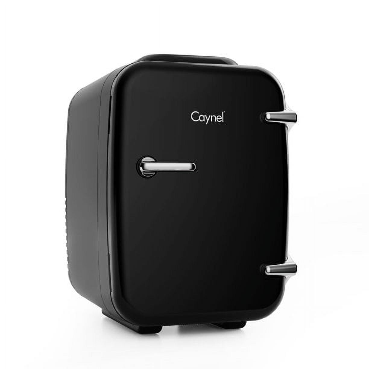 Caynel Outdoor Countertop 4L Portable Mini Fridge Color/Finish: Teal MJ44905
