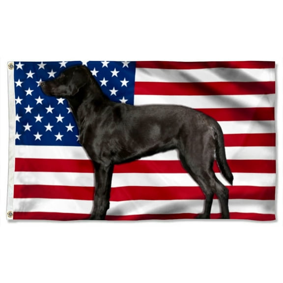 Cayyon Black Labrador Retriever Dog Grommet Flag 3x5Feet Banner with 2 Brass Grommets