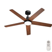 CazToi 42" Quiet Reversible DC Ceiling Fan Remote 3CCT Dimmable 5 Blade