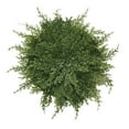 thumbnail image 1 of Ccgaton Store End of 2025 Clearance Faux Cedar Placemats Cedar Greenery Placemats Round Cedar Christmas Placemats Cedar Mat Green Winter Greenery Round Faux Cedar Placemat Tabletop Decor Placemats, 1 of 10