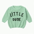 thumbnail image 1 of Ccpelsie Big/Little Boys Warm Casual Pullover Sweaters Kids Crewneck Knit Jumper Tops for Fall and Winter(Light Green,2-3 Years), 1 of 6