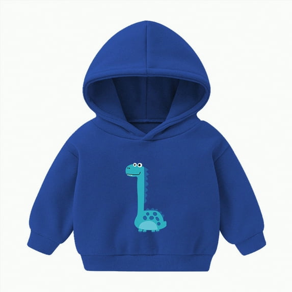 Ccpelsie Boys Hoodies Cool Graphic Printed Hooded Sweatshirt Pullover Hoody with Pockets for Toddler Kids(Blue,12-18 Months)