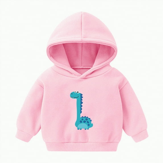 Ccpelsie Boys Hoodies Cool Graphic Printed Hooded Sweatshirt Pullover Hoody with Pockets for Toddler Kids(Pink,5-6 Years)