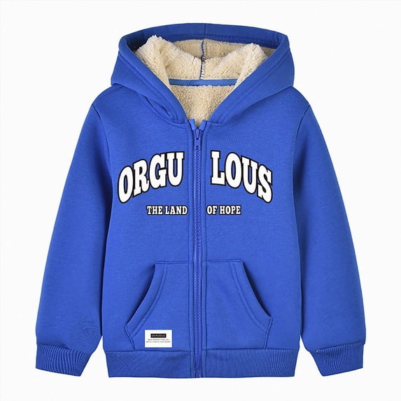 Ccpelsie Boys Zip Up Hoodie Soft Basic Hooded Fall Winter Sweatshirt Coat for Boys with Pockets(Blue,5-6 Years)