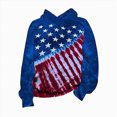 thumbnail image 1 of Ccpelsie Girls Fall Sweatshirts Hoodie Crewneck Pullover Long Sleeve Pocket Casual Top for Kids(Blue,3-4 Years), 1 of 3