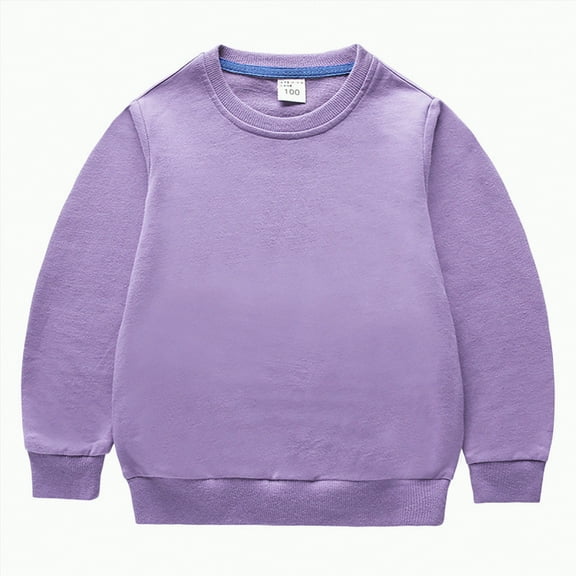 Ccpelsie Girls Fashion Pullover Round Neck Long Sleeve Sweatshirt Fall Winter Clothes for Toddler(Purple,6-12 Months)